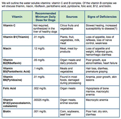 Water Soluble Vitamins, Sources Of Vitamin D, Dogs Signs, Vitamin Deficiency, Vitamin B Complex, B Complex, Pantothenic Acid, Vitamins For Skin, New Dog