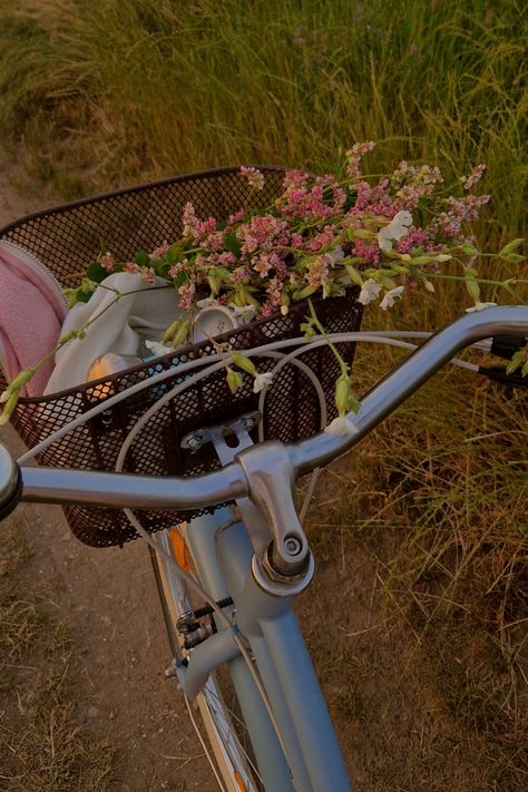 blue City bike, wild flowers, aesthetic Blue Bike With Basket, City Bike Aesthetic, Nieve Aesthetic, Wild Flowers Aesthetic, Checklist Aesthetic, Cute Bouquet, Aesthetic Bike, Dutch Bike, Cherry Girl