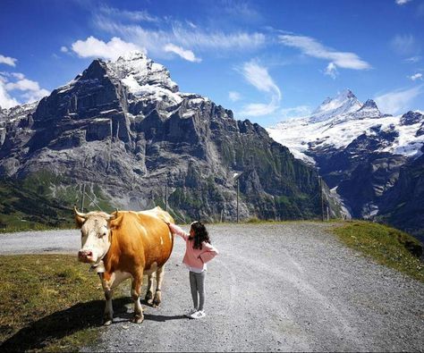 Switzerland Itinerary with Kids: Plan 7+ Perfect Summer Days! Switzerland With Kids, Best Places In Switzerland, Switzerland Adventure, Switzerland Summer, Grindelwald Switzerland, Switzerland Itinerary, Italy Culture, Switzerland Hotels, Places In Switzerland