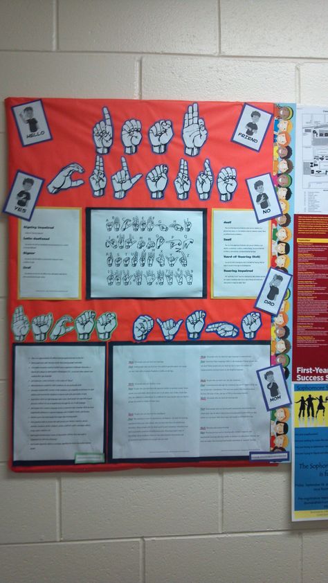 Deaf Culture Board Deaf Education Classroom, Asl Bulletin Board Ideas, Deaf Classroom, Asl Classroom, College Bulletin Boards, Deaf Awareness, Classroom Interior, Deaf Education, Classroom Helpers