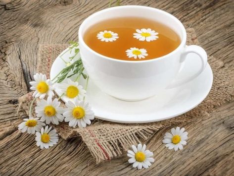 Benefits Of Chamomile Tea, Chamomile Tea Recipe, Benefits Of Chamomile, Chamomile Tea Benefits, Herbal Tea Benefits, Benefits Of Organic Food, Stop Acid Reflux, Giving Up Alcohol, Herbal Magic