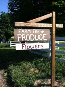 Veggie Stand, Flower Stall, Dream Homestead, Roadside Stand, Fruit Stall, Farmers Market Stand, Starting A Farm, Old Fashioned Recipe, Vegetable Stand