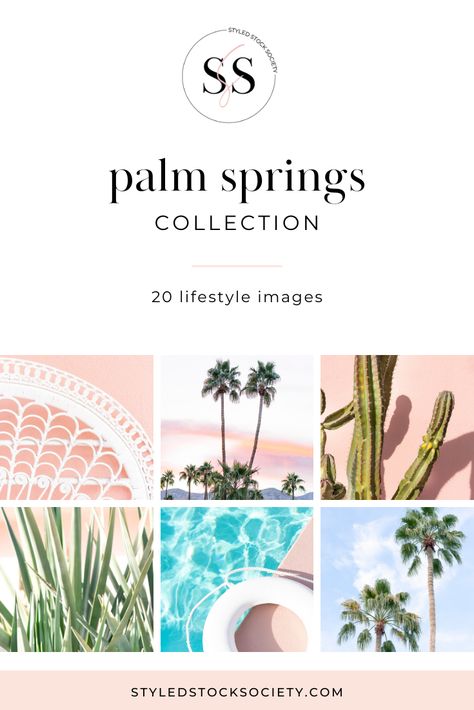 Need Palm Spring stock photos for your latest travel blog post? We've got you covered! Check out our Palm Spring stock photos! Palm Springs Mood Board, Palm Springs Color Palette, Spring Cover Photos, Brand Deck, Deck Inspiration, Palm Springs Aesthetic, Palm Springs Style, Brand Photography Inspiration, Palm Spring