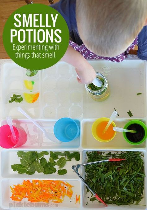 Smelly Potions Activity - Experiment with things that smell with this simple sensory and science play idea 5 Senses Activities, Senses Preschool, Science Week, Senses Activities, Invitation To Play, Preschool Science, Sensory Activities, Science For Kids, Science Activities