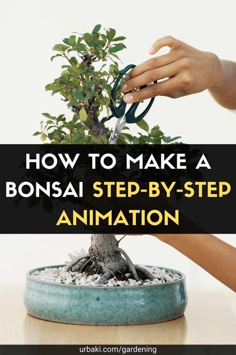 Bonsai is an art that has been studied and refined for centuries, but don't let that scare you. With a little guidance, you are perfectly capable of growing your own Bonsai trees without a green mystic thumb. Be sure to choose a tree species suitable for the climate in your area and follow basic care guidelines. In this video tutorial, you will discover a simple step-by-step animation, which explains how to start Bonsai cultivation and introduce the main basic techniques. It is important to... Bonsai Growing, Money Tree Bonsai, How To Grow Bonsai, Garden Bonsai Tree, Bonsai Diy, Bonsai Making, Japanese Bonsai Tree, Jade Bonsai, Bonsai Tree Types