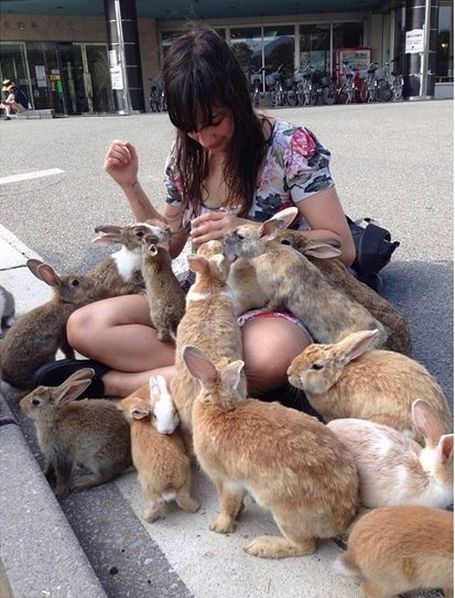 Bunny Island, Rabbit Island, Belinda Carlisle, Bunny Care, Pet Bunny, Bunny Pictures, Celebrity Lifestyle, Funny Bunnies, Take A Seat