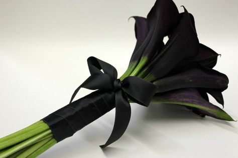 black callas Calla Lily Bulbs, Black Calla Lily, Calla Lily Bouquet Wedding, Black Wedding Gowns, Black And White Wedding Theme, Calla Lily Wedding, Hot Pink Weddings, Calla Lily Bouquet, Lily Bulbs