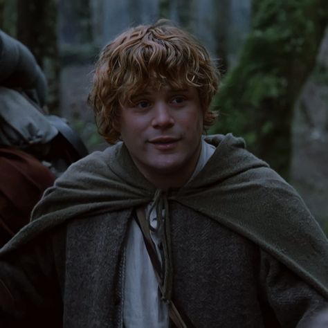 Hobbit Haircut, Sam Wise Gamgee, Sam Lord Of The Rings, Sam Gamgee, Hobbit Characters, The Hobbit Characters, Lotr Characters, Crush Cake, Sean Astin