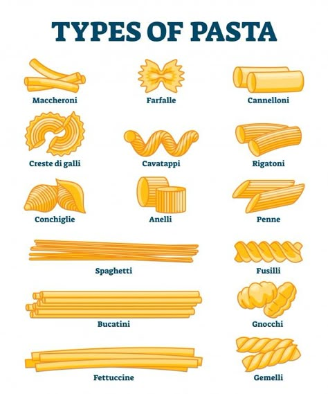 Pasta Noodle Types, Pasta Illustration, Types Of Pasta, Gnocchi Pasta, Homemade Pasta Recipe, Pasta Types, Recipe Drawing, Food Vocabulary, Food Infographic