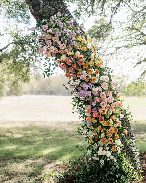 Shannon, a bride as lovely and bright as her flowers 🤍 Photographer: @thewisteriajade Venue: @thevineyardsatchappellodge Florist: @truthandblooms Blooming Hill Farm Wedding, Wedding Ceremony Inspiration, Flower Tree, Wedding Flower Ideas, Ceremony Inspiration, Girls Just Wanna Have Fun, Floral Designer, Austin Wedding, Wedding Weekend