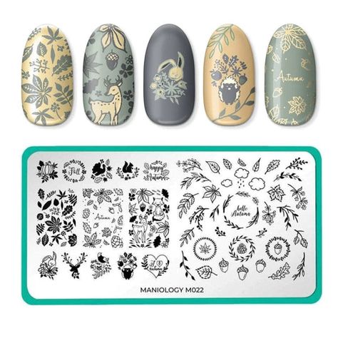 Maniology Stamping Ideas, Dancing Dino, Fall Animals, Gorgeous Gourds, Holo Taco, Festive Manicure, Nail Art Stamping Plates, Nail Stamping Plates, Sticker Template