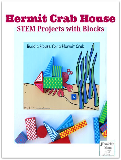 STEM Projects with Blocks- Hermit Crab House A House For Hermit Crab Activities Preschool, Preschool Ocean Theme, Book Club For Kids, Preschool Ocean, Ocean Theme Preschool, Fun Stem Activities, Art And Math, Crab House, Stem Activities For Kids