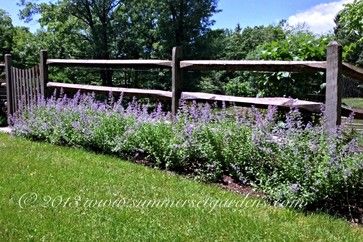 Japanese Garden Plants, Fence Design Ideas, Cottage Garden Roses, House Garden Landscape, Post And Rail Fence, Split Rail Fence, Rail Fence, Easy Landscaping, Fence Landscaping