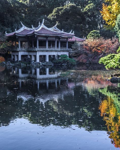 Shinjuku Gyoen National Garden, Things To Do In Tokyo, Shinjuku Gyoen, Unusual Things, Best Places To Visit, Tokyo Japan, Fun Things, Fun Things To Do, Things To Do