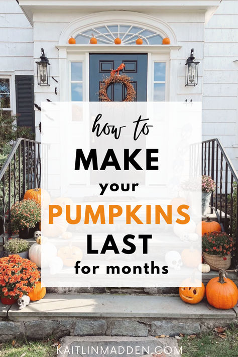 Cheap & easy trick Fall Porch Ideas Cheap, Repel Squirrels, Preserve Pumpkins, Pumpkin Porch Decorations, Pumpkin Porch Decor, Preserving Pumpkins, Porch Pumpkins, How To Make Pumpkin, Porch Steps