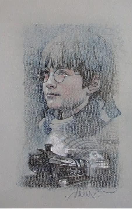 Drew Struzan, Poster Art Illustration, Hannover Germany, Poster Artist, Harry Potter Icons, Oregon City, Face Drawing Reference, Star Wars Film, Potter Art