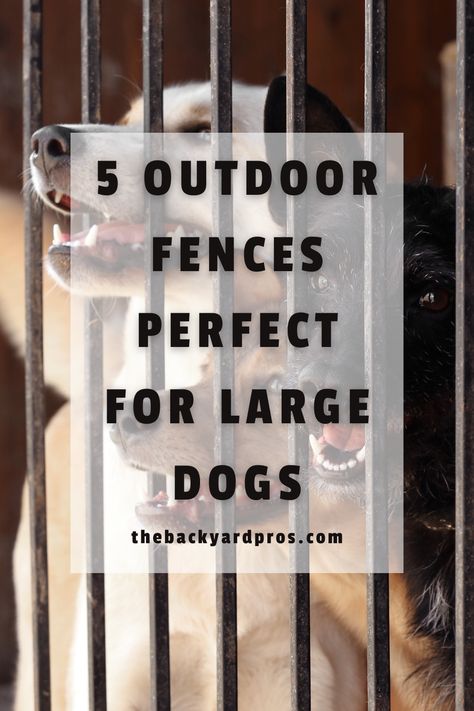 Give Your Big Dog Room to Roam with These Top Outdoor Fences! We've compiled the best fences to ensure your large dog stays safe and happy. Discover durable and effective fencing solutions today! Dog Proof Fence Ideas, Pet Fencing Ideas Backyards, Dog Gates Outdoor, Dog Lot Ideas Outdoor, Fencing Ideas For Dogs, Dog Kennel Ideas Outdoor Diy Cheap, Dog Fence Ideas Backyards, Backyard Dog Fence, Dog Pen Ideas Outdoor