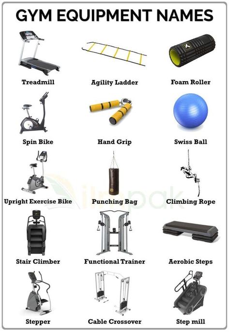 Gym Equipment Names, Workout Names, Simple English Sentences, Learn English For Free, Tantra Art, Study English Language, Medicine Notes, English Learning Books, All Body Workout