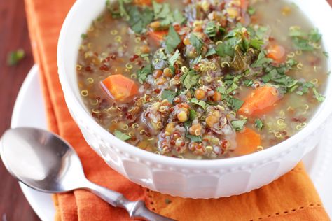 Fodmap Vegan, Low Fodmap Vegetables, Lentil Quinoa, Fodmap Chicken, Low Fodmap Chicken, Fodmap Food, Low Fodmap Diet Recipes, Quinoa Soup, Lasagna Recipes