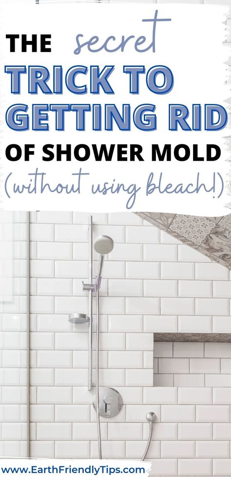 Shower Mold Cleaner, Cleaning Shower Mold, Remove Mold From Shower, Mold Cleaner, Shower Mold, Shower Grout, Homemade Shower Cleaner, Mold In Bathroom, Cleaning Mold