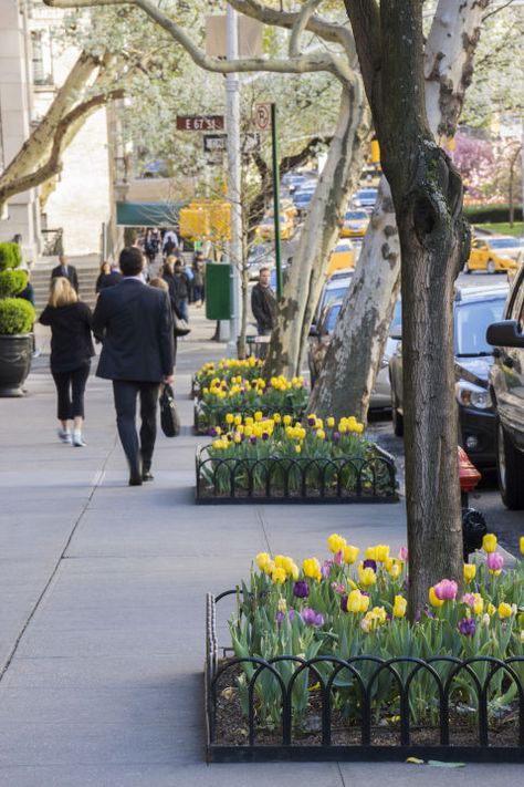 New York may be a concrete jungle, but you can find some stunning greenery between the skyscrapers and high-rise apartment buildings if you know where to look. Sidewalk Garden Ideas, Stone Pathways Ideas Walkways, Pathways Ideas Walkways, Sidewalk Garden, Sidewalk Landscaping, City Sidewalk, Stone Pathways, Mailbox Garden, City Tree