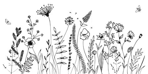 Download the Black silhouettes of grass, flowers and herbs isolated on white background. Hand drawn sketch flowers and insects. 2373063 royalty-free Vector from Vecteezy for your project and explore over a million other vectors, icons and clipart graphics! Wildflower Drawing, Grass Flowers, Flower Line Drawings, Doodle Images, Monochrome Prints, Black Silhouette, Drawing Images, Flower Images, Abstract Flowers