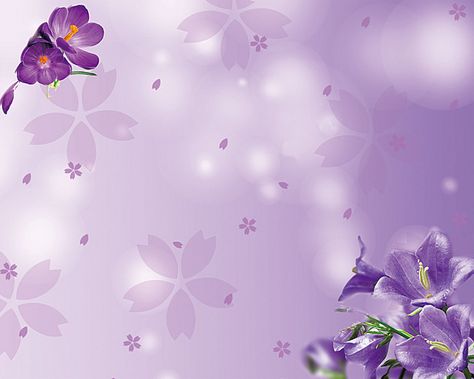 Flores moradas, texturas de fondo Purple Flowers Background, Rose Flower Hd, Purple Colour Flowers, Tarpaulin Design, Purple Flower Background, Holly Decorations, Scrapbook Printable, Plant Texture, Crazy Nail Art