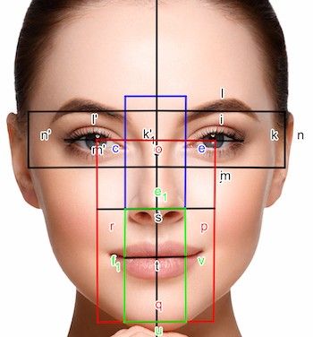 Golden Ratio In Nature, Face Proportions Drawing, Facial Proportions, Face Proportions, Head Anatomy, Ancient Drawings, Face Profile, Life Drawing Reference, Aesthetic Medicine