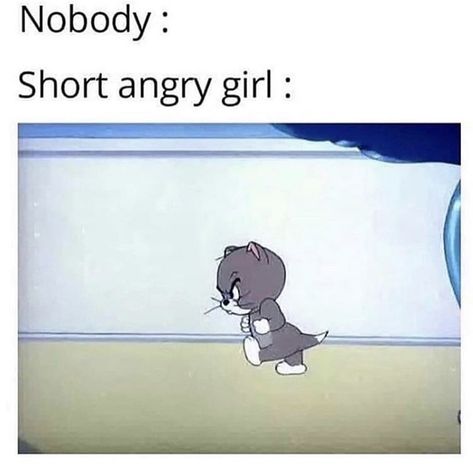 57 Funny Memes That Are Pretty Funny, Trust Me Dude - Funny Gallery Short Girl Quotes, Short People Memes, Angry Meme, Girl Problems Funny, Short Memes, Short People Problems, Short Girl Problems, Angry Girl, People Problems