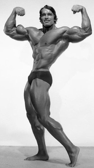 Arnold Pose, Arnold Schwarzenegger Muscle, Arnold Bodybuilding, Arnold Schwarzenegger Bodybuilding, Aesthetics Bodybuilding, Schwarzenegger Bodybuilding, Gym Photography, Bodybuilding Pictures, Male Pose Reference