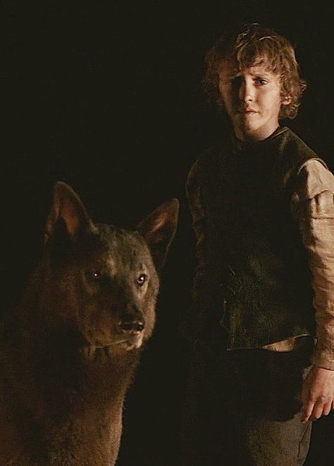 Game Of Thrones Rickon, Sir Arthur Dayne, Rickon Stark, Dire Wolves, Got Stark, Stark Family, Wolf Clothing, Game Of Thrones Winter, Bran Stark