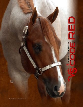 VS Code Red AQHA - looove him Quarter Horses For Sale, Aqha Stallion, Vs Code, American Quarter Horse Association, Horse Herd, Reining Horses, Code Red, Quarter Horses, Horse Dressage