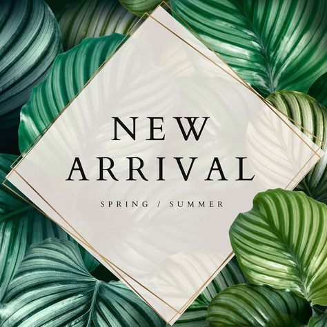 Spring and summer new arrival template vector | premium image by rawpixel.com / Adj New Collections Banner, Grand Opening Banner, Business Marketing Design, Arrival Poster, Logo Online Shop, Leaf Frame, Banner Template Design, Instagram Ads, For Sale Sign