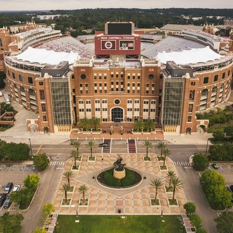 Doak Campbell Stadium, Florida State University Aesthetic, Fsu Stadium, Fsu Vs Uf, Florida State University Campus, Blueprint Background, Western Wallpapers, Florida State Football, Panama City Florida