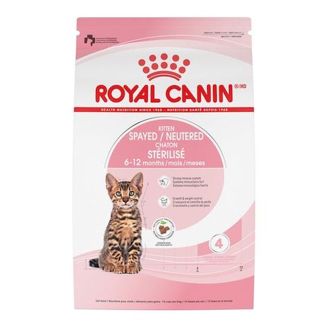 Healthy Cat Food, Newborn Kittens, Kitten Food, Healthy Cat, Royal Canin, Healthy Brain, Dry Cat Food, Wet Cat Food, Healthy Energy