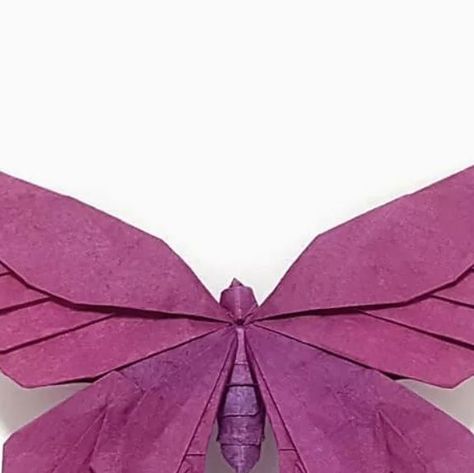 Mr. SECRET on Instagram: "ORIGAMI SWALLOWTAIL BUTTERFLY ( @kota_imai ) This Origami Swallowtail Butterfly is beautiful which is designed by @kota_imai and folded beautifully by @m_jaewoong .You can check out more on his accoun. CREDIT-@m_jaewoong 👆 Check out his Instagram for more amazing origami posts. #origamiart #origamiexperts #origami #origamicomplex #origamifolding #paperfold #papercraft #paperfun #insects #paperinsects #origamiinsects #instarts #instaorigami #instapic #instaartwork #butterfly #origamiinsects #papeiroflexia #paper #paperartscollective #paperartist #craft #art #paperlove #artist #origamibutterfly #insectorigami #explore #origamilovers❤️ #allinorigami #repost" 3d Origami Butterfly, Insect Origami, Sticky Notes Origami Butterfly, Flying Butterfly Origami, Oragomi Butterfly, Oragomi Butterfly Step By Step, Origami Insects, Origami Butterfly, Origami Folding