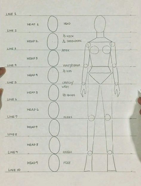 Drawing Body Proportions, Fashion Illustration Template, Fashion Model Sketch, Fashion Illustration Tutorial, Fashion Figure Drawing, Fashion Drawing Sketches, Fashion Illustrations Techniques, Fashion Drawing Tutorial, Human Figure Drawing