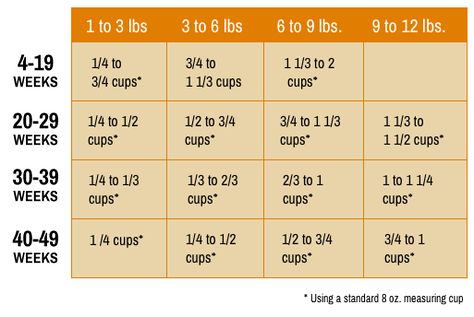 kitten feeding chart_abound Cat Feeding Chart, Cat Feeding Schedule, Cat Facts Text, Kitty Care, Kitty Ideas, Operant Conditioning, Cat Tips, Foster Baby, How To Cat