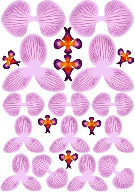 Diy Orchids, Orchid Pattern, Flower Templates Printable, Paper Flower Patterns, Wafer Paper Flowers, Idee Cricut, Paper Plants, Paper Flower Template, Paper Flowers Craft