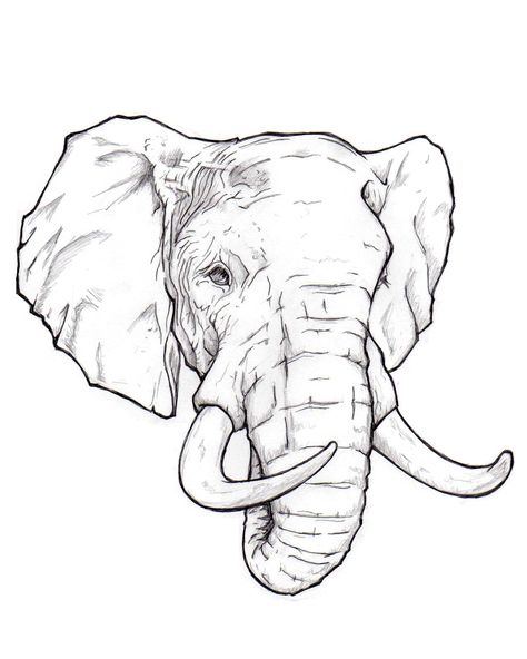 Elephant = memory, family, strength, emotion Would be beautiful to add delicate Mandela on forehead Más Elephant Art Drawing, Elephant Sketch, Elephant Tattoo Design, Elephant Stickers, Elephant Face, Elephant Drawing, Drawing Heads, Elephant Tattoo, Elephant Tattoos