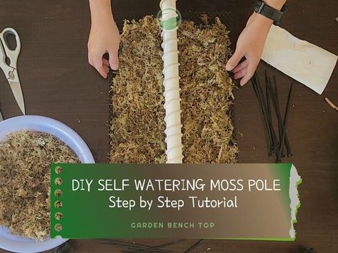 How to Make a DIY Self Watering Moss Pole - Tutorial with Real Pictures! Bendable Moss Pole Diy, Diy Moss Poles For Plants, Homemade Moss Pole, Moss Poles Diy, Diy Moss Pole Monstera, Moss Pole Ideas, Self Watering Moss Pole Diy, Diy Plant Support Indoor, Moss Poles For Plants