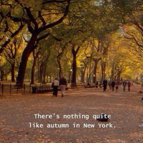 There’s nothing quite like autumn in New York. 🍂🍁 Fall Aesthetic Pictures, Hygge Autumn, New England Aesthetic, Fall Instagram, Studera Motivation, Gilmore Girls Seasons, Fall Boards, England Aesthetic, Fall Pics