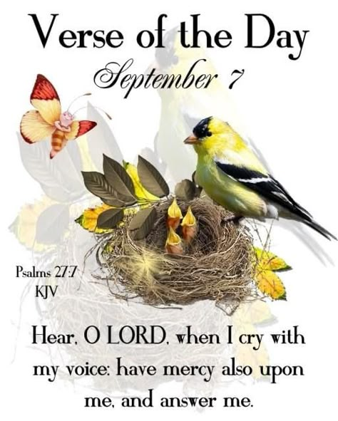 September 7 Quotes, September 7 Blessings, September Scripture, September Blessings, Scripture Board, Wednesday Morning Greetings, Today's Verse, September Quotes, God Prayers