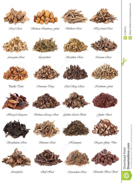 Chinese Medicine stock image. Image of alternative, background - 37393751 Chinese Medicinal Herbs, Tcm Traditional Chinese Medicine, Medicinal Tea, Chinese Herbal Medicine, Chinese Herbs, Herbal Healing, Nuts And Seeds, Herbs For Health, Healing Food