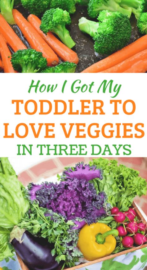 Toddler Wont Eat, Toddler Vegetables, Veggie Appetizers, Picky Toddler Meals, Mommy Things, Kids Vegetables, Eat Vegetables, Veggie Snacks, Kids Meal