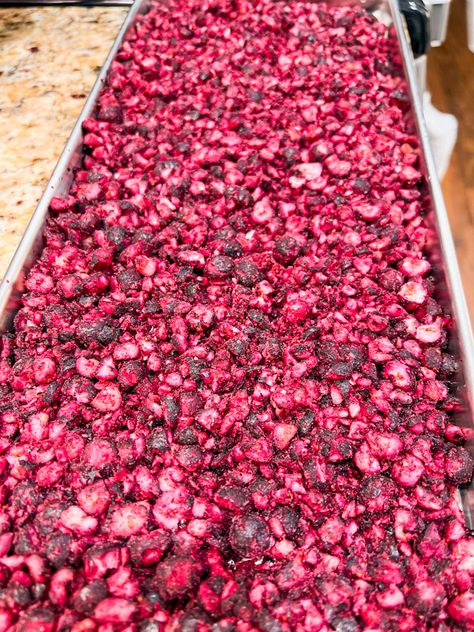 How to Freeze Dry Blueberries at Home Freeze Dried Blueberries Recipe, Freeze Drying At Home, Freeze Drying Food Recipes, Mild Salsa Recipe, Freeze Dried Blueberries, Harvest Right Freeze Dryer, Best Freeze Dried Food, Saskatoon Berry, Freeze Dryer