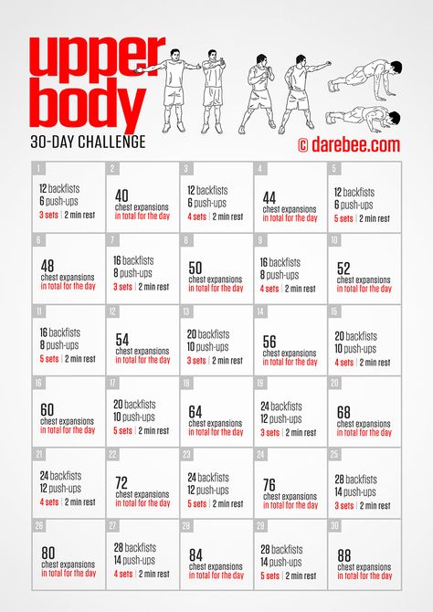 30 Day Arm Challenge, Month Workout Challenge, Dumbell Workout, Fitness Challenges, 30 Day Fitness, Push Up Challenge, Body Challenge, Body Workout At Home, 30 Day Workout Challenge