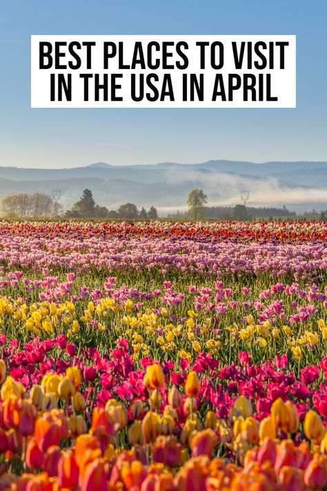 best places to visit in the usa in april Warm Vacation, United States Travel, Best Places To Visit, Plan A, Hotel Reviews, Us Travel, Cool Places To Visit, The Good Place, Travel Destinations