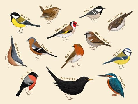 Some Scottish Borders Birds! Do you have a favourite? . #birds #britishbirds #gardenbirds #wildbirds #birdingdaily #birding #birders #scotlandexplore #natureart #sararhys Scottish Borders, Bird Garden, Wild Birds, Nature Art, Borders, Birds, Portfolio, Quick Saves, Instagram