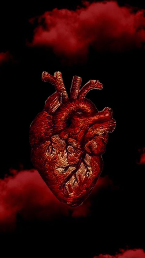 Realistic Heart Wallpaper, Realistic Heart, Heart Wallpaper, Pins